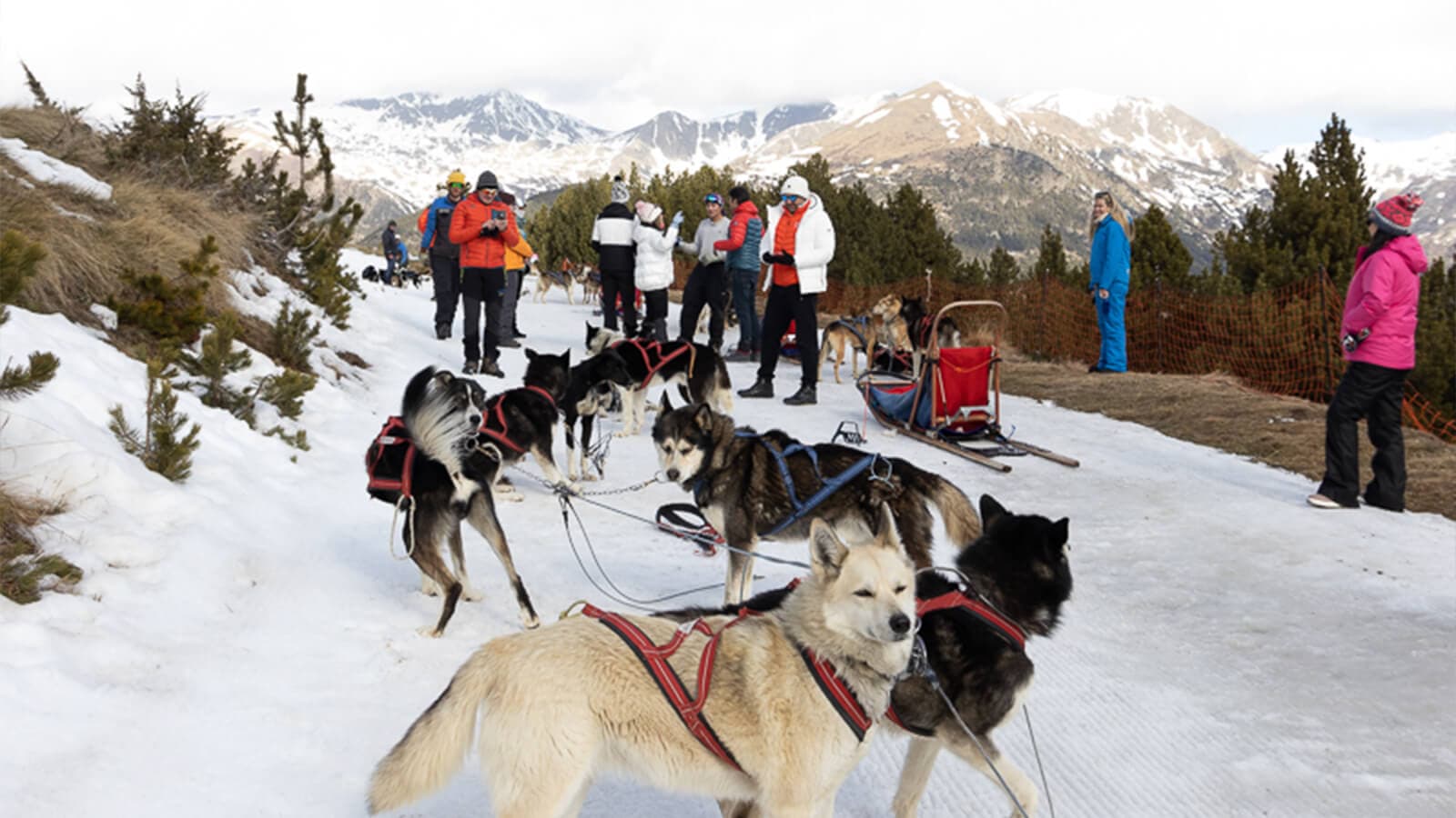 Ski World Cup 2023 - Allianz